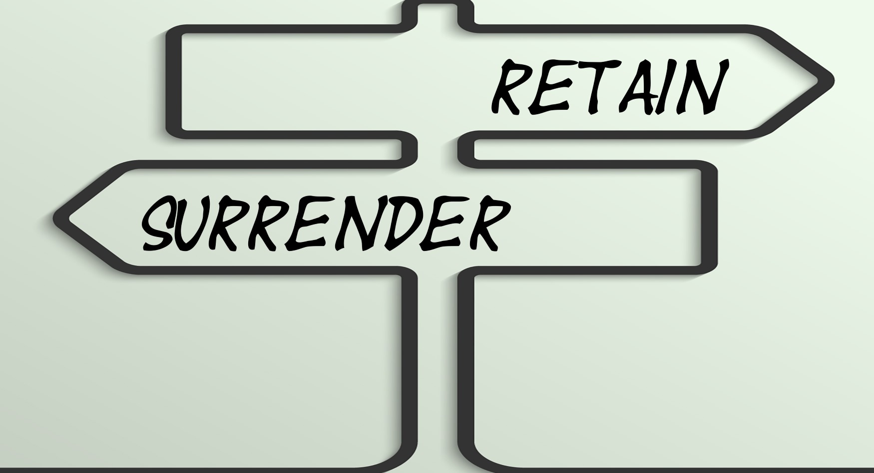 Retain-or-Surrender-Deciding-What-to-Do-with-Collateral-in-Bankruptcy.jpg